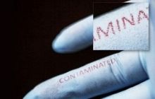 В США создали перчатки, способные предупреждать об опасных бактериях