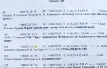 Chernushenko's SMSs with ‘recommendations’ on case rulings are made public