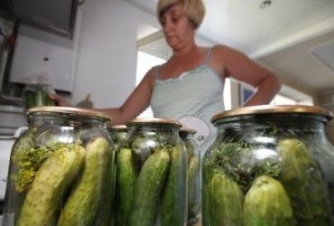 Полезные свойства ферментированных продуктов