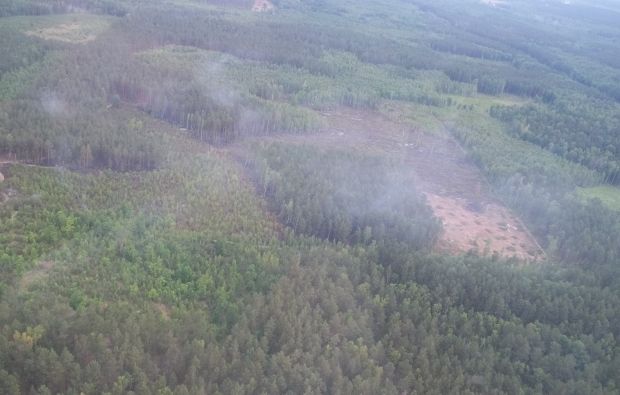 Україна у вогні: небезпечні торф'яні пожежі