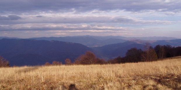 Вершина гори Явірник / Вікіпедія