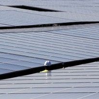Chornobyl goes solar as first panels in nuclear zone near finish - media