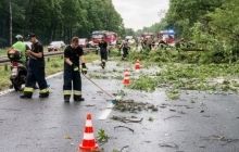 В Польше ураган повалил деревья и сорвал крыши домов (фото, видео)