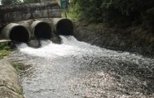 Загрязнение воды в Бугском лимане: концентрация нефтепродуктов превышает норму в 1000 раз