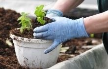 Современному человеку необходим "день морального отдыха" - эксперты