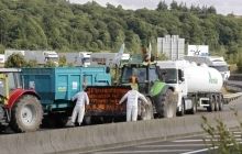 У Франції фермери зводять барикади з гною і заганяють свиней в супермаркети (фото)