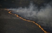 Emergency Service: Most fires in Chornobyl zone caused by arson