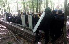 Паркан в лісі поблизу села Лісники має бути знесений — т.в.о. голови Київської ОДА