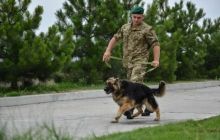 Вівчарки з кінологічного центру в Межигір'ї служитимуть в АТО (фоторепортаж)