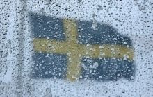 Russia names cause for expelling Swedish diplomat