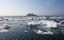 Ученые обнаружили 500 новых видов животных в Охотском море