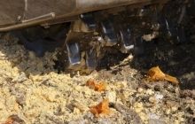 В России отчитались об уничтожении свыше 370 тонн санкционных продуктов