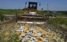 Росія затримує лише п'яту частину санкційних продуктів - ЗМІ