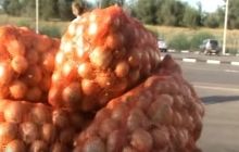 В оккупированном Крыму "захоронили" 4 тонны санкционных продуктов из ЕС