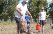 В Беларуси объявили "мобилизацию" для уборки урожая