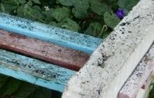 У Вінницькій області екологічне лихо: місто засипало сажею (фото, відео)