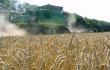 Early grain harvesting campaign over in Ukraine