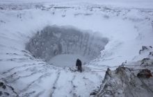 В Сибири выявили коронавирус-мутант