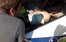 Пострадавших под Радой вывозят полицейские, "скорых" не хватает