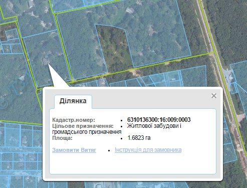 Добкин живет в особняке матери, который она оформила по сомнительной схеме (фото) Добкин живет в особняке матери, который она оформила по сомнительной схеме (фото)