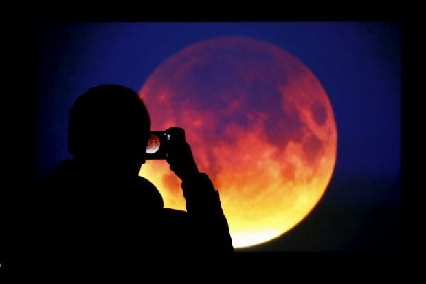 8 листопада відбудеться повне місячне затемнення / фото REUTERS