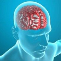 Черепно-мозговые травмы повышают риск болезни Паркинсона