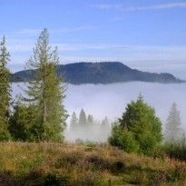 Защитники природы призывают украинские власти ввести ряд нововведений для сохранения биоразнообразия страны