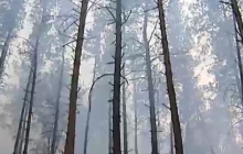 У Вінниці другу добу спостерігається густа задимленість
