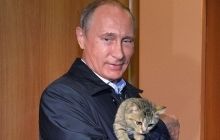 Путіна сфотографували із кішкою