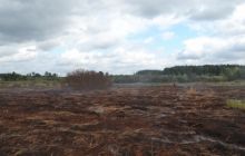 Довкола Києва продовжують гасити майже 50 гектарів торфовищ