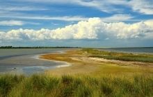 На території парку "Тузловські лимани" нелегально виловлювали і переробляли рибу