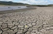 Куба страдает от самой сильной засухи за последние 100 лет