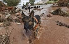 Кількість жертв повені в штаті Юта зросла до 15 осіб