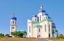 УПЦ призывает киевлян поддержать инициативу о наименовании одной из улиц столицы в честь Митрополита Владимира (Сабодана)