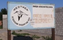 Бойовики-"екологи" знищують природний національний парк на Донбасі