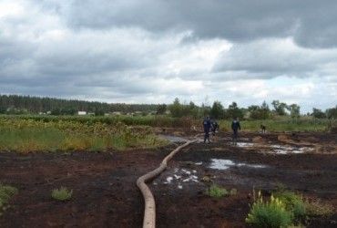 На Одещині пожежа знищила понад тисячу гектарів заповідної території на Дністрі – еколог