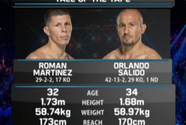 Роман Мартінес - Орландо Салідо. Відео бою