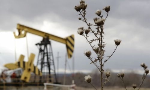 Frankfurter Allgemeine: