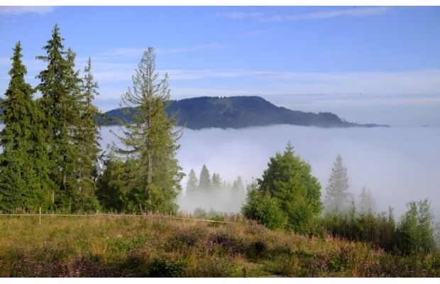 На популярному українському гірському курорті троє юних туристок потрапили до лікарні після прогулянки на квадроциклі