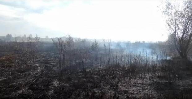 Peat continues to burn across Kyiv region / Screenshot from video