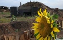 Donbas militants observing full ceasefire on Sunday