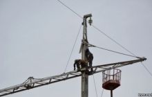Electricity supplies to Crimea interrupted - Ukrenergo