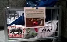 В Європарламенті для українців, які вимушені були залишити свої оселі, збирають гуманітарну допомогу