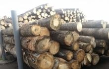 Кримчани не відгукнулися на заклик Росії "подарувати дрова"