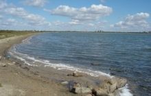 Для відновлення екосистеми Сасика його з'єднають каналом з морем