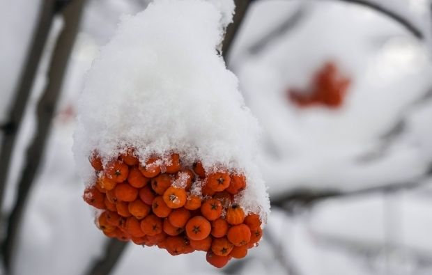REUTERS REUTERS