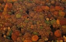 Гослесагентство планирует подписать меморандум с профсоюзами и поднять зарплаты лесникам