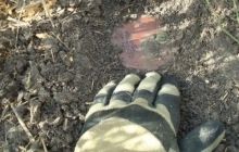 Во Львовской области возле автотрассы нашли минометные мины времен Второй мировой войны