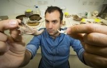Ученые нашли кости 5-килограммовых древних крыс