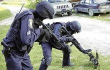 Бельгійці заполонили інтернет котиками після призову поліції не поширювати дані про спецоперацію